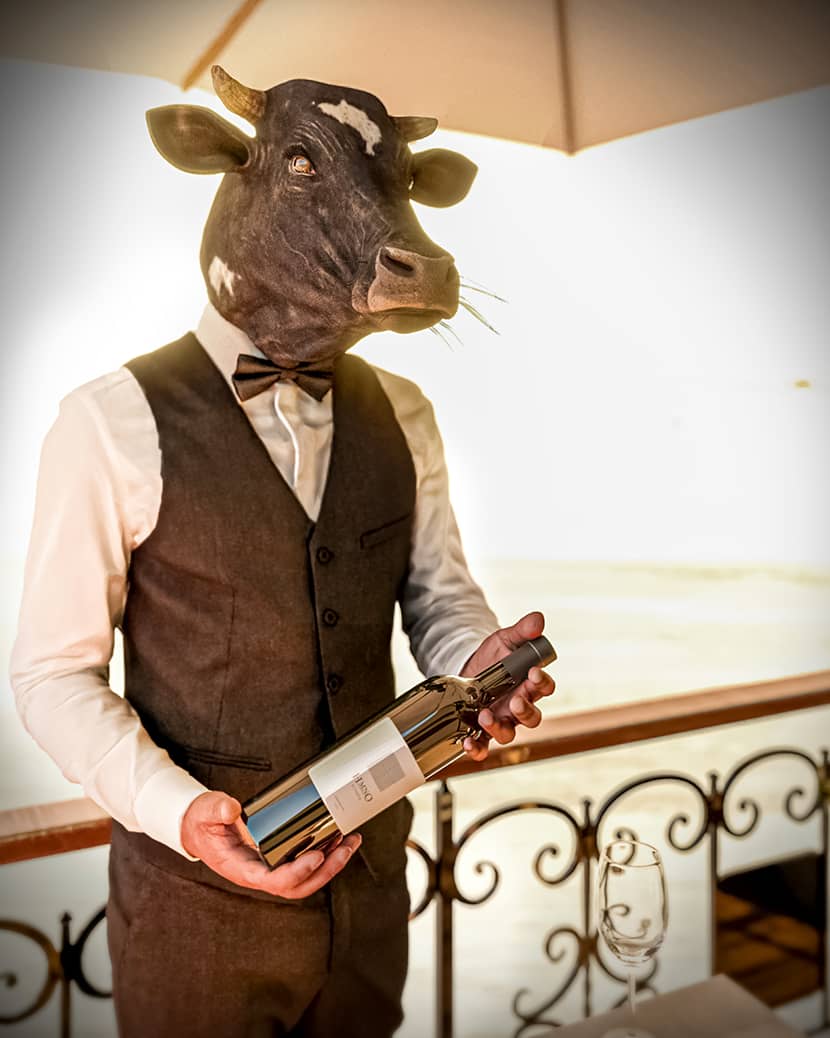 RebusArt featuring APM 3D APM 3D, 'Anthropoformism' Architectural visualization